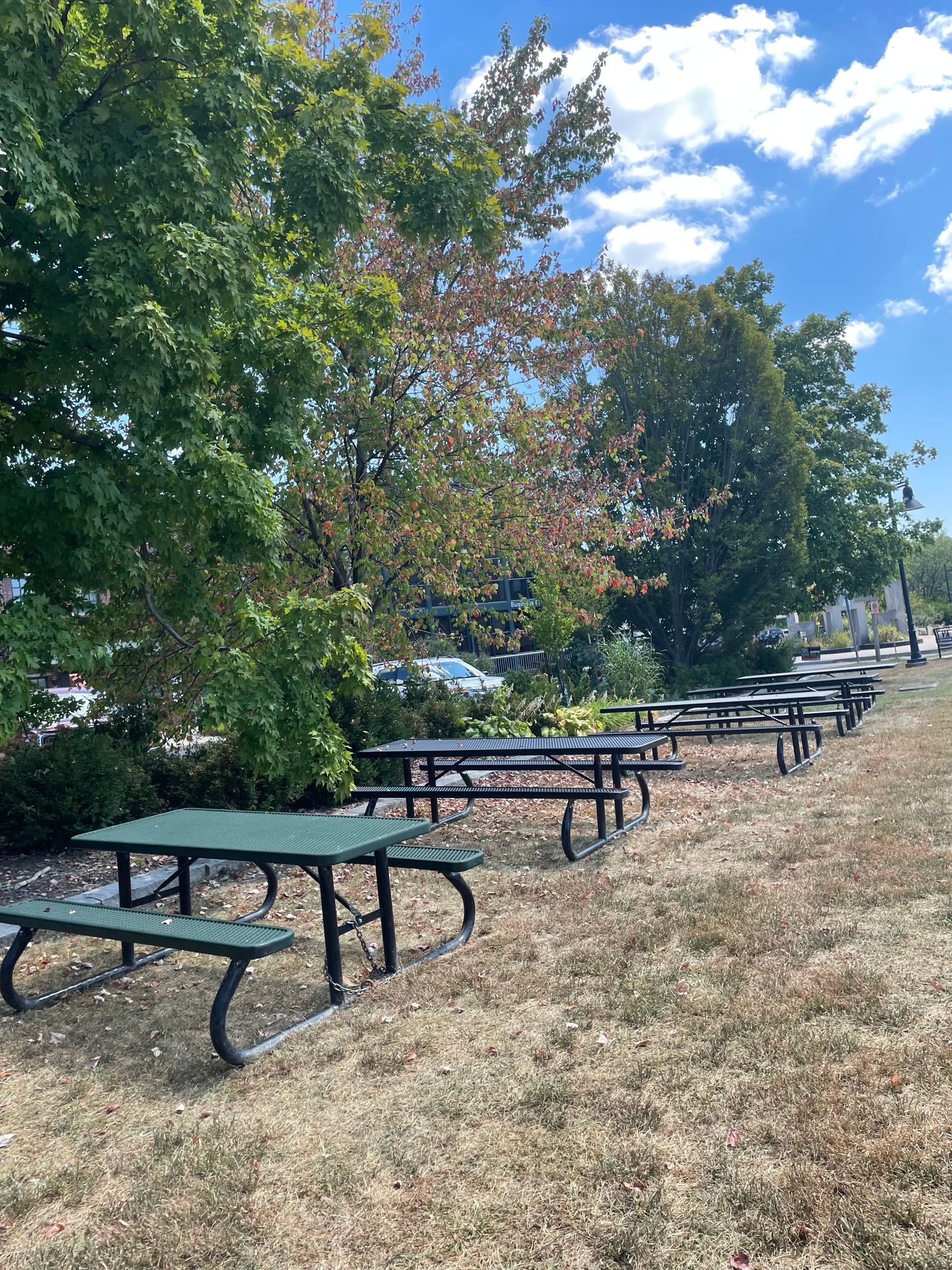 B-Line Picnic Tables