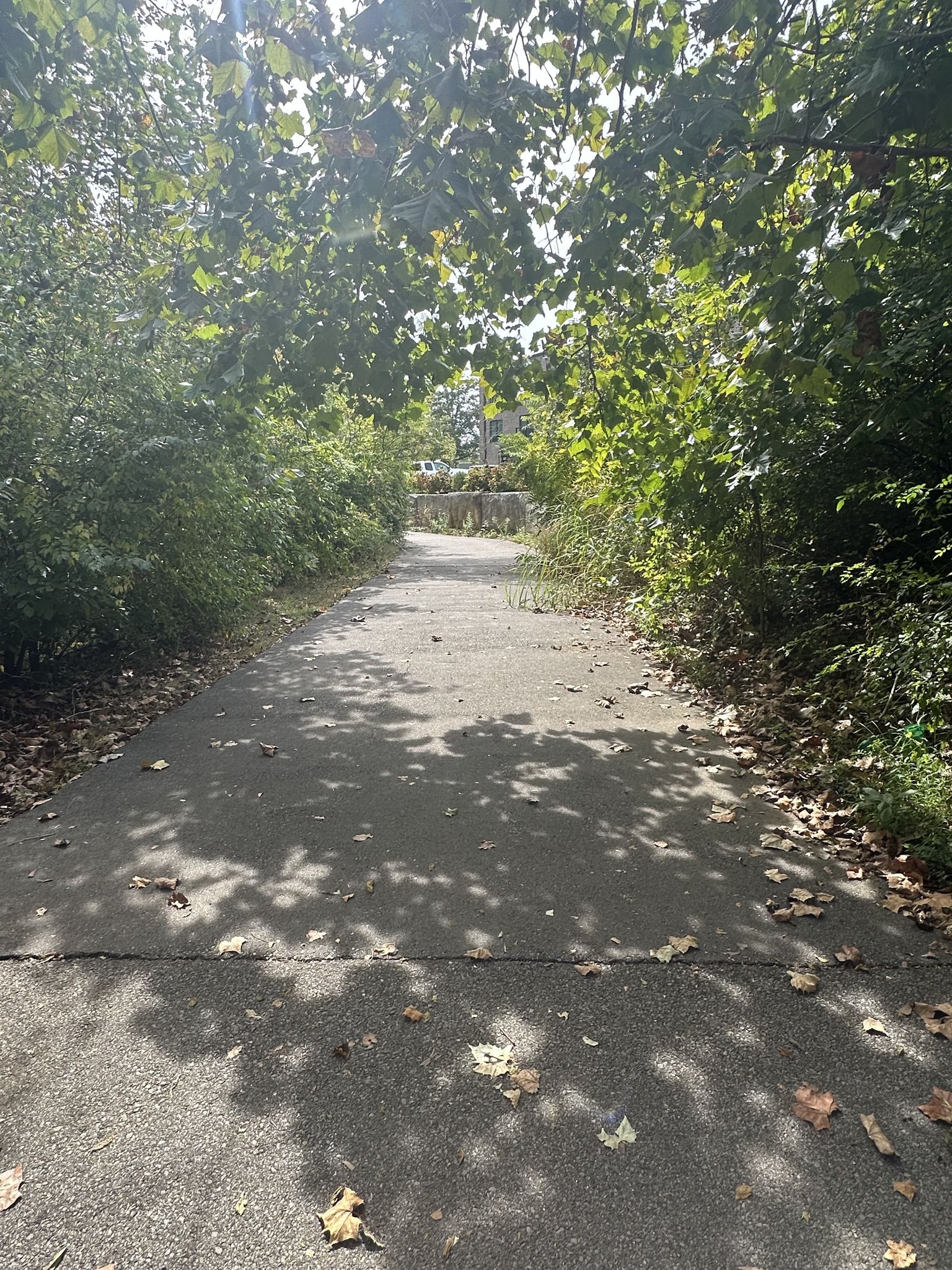 Creek's Edge Trail Southeast Trailhead