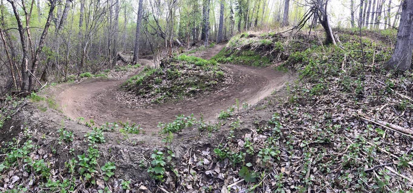 Palmer Bike Park Flow Trail