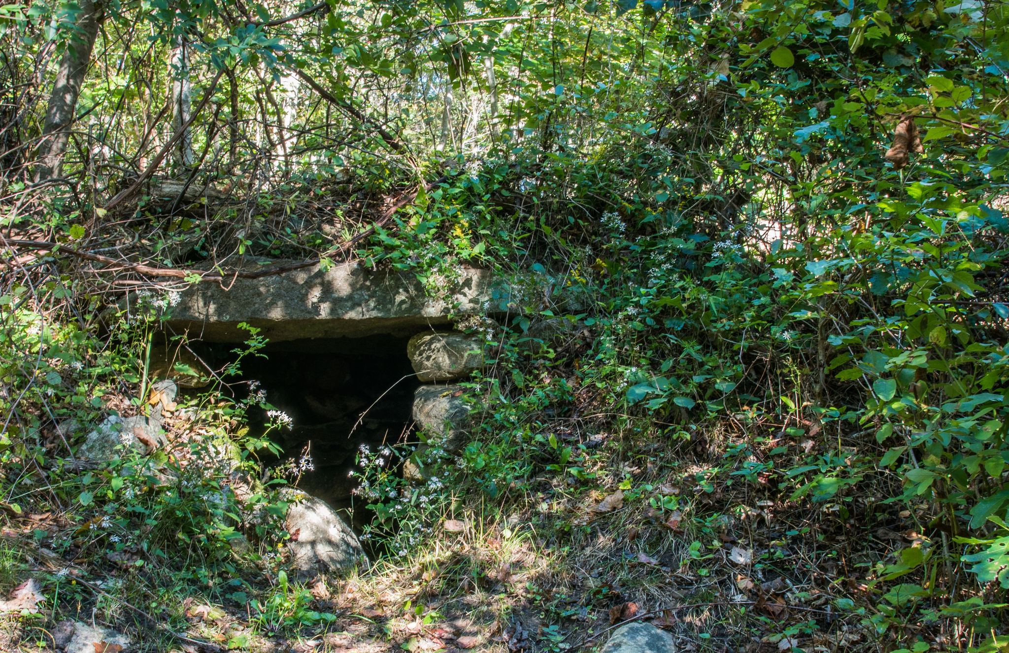 Old Root Cellar 