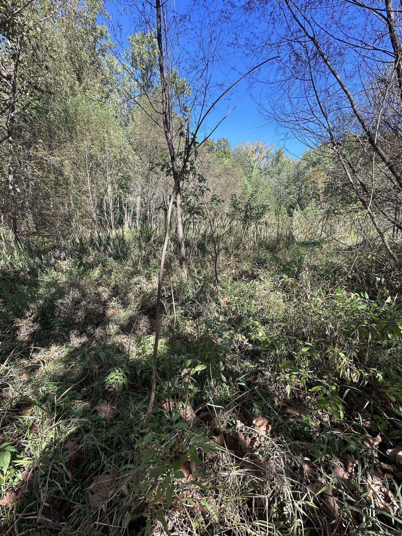 Griffy Wetland Trail End