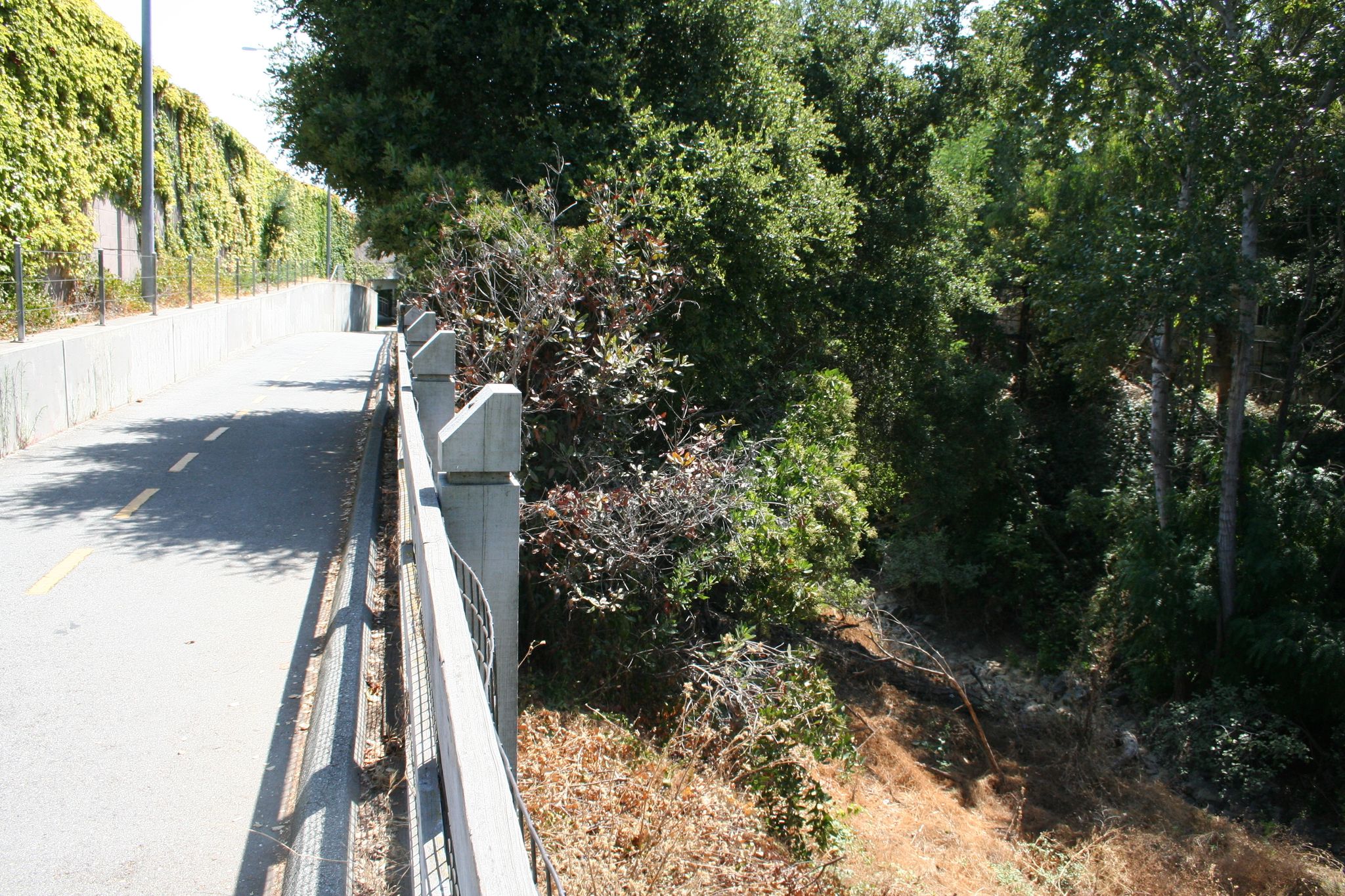 Stevens Creek Trail between Yuba Drive and Landels Park runs along right at the top of the creek bank.