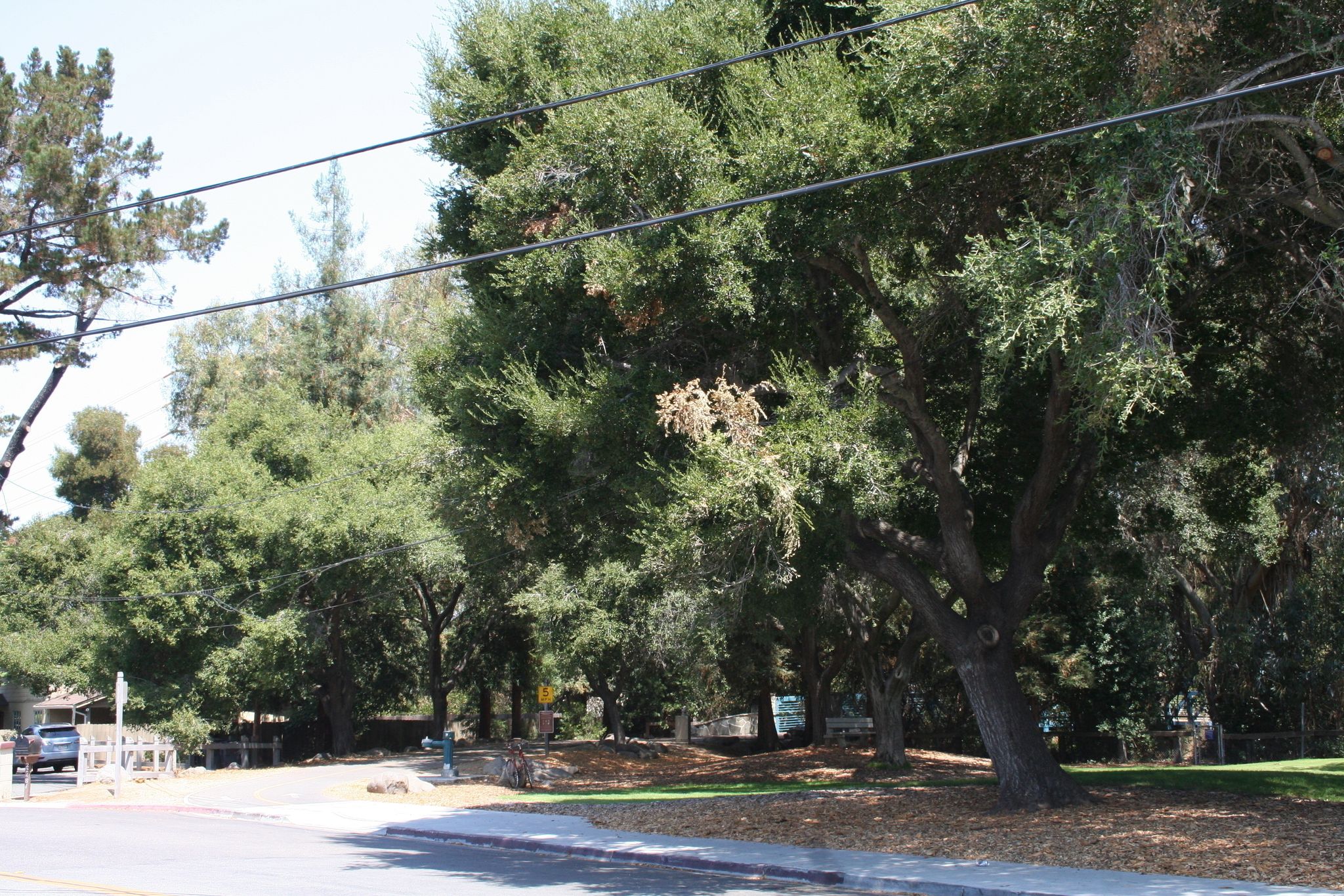 Sleeper Ave. Trailhead is at the edge of Sleeper Park, providing grass, shade, water, bench, trash and a peaceful creekside rest area.  A small amount of parking is available along the street.