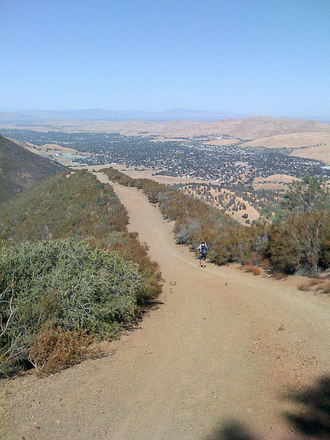Nice trail on Shell Ridge