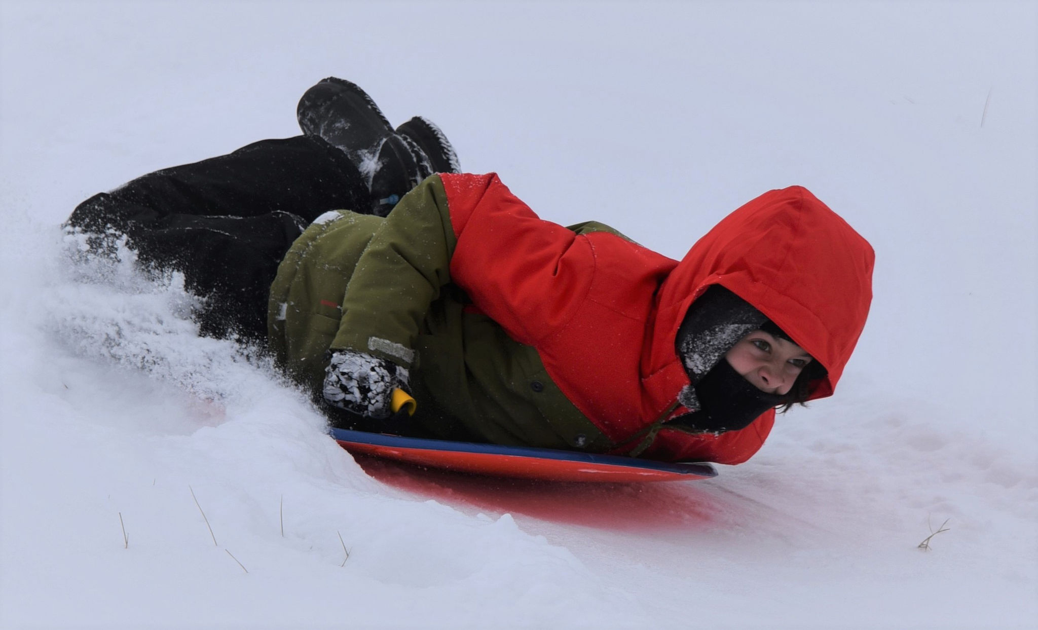 Scioto Audubon sledder