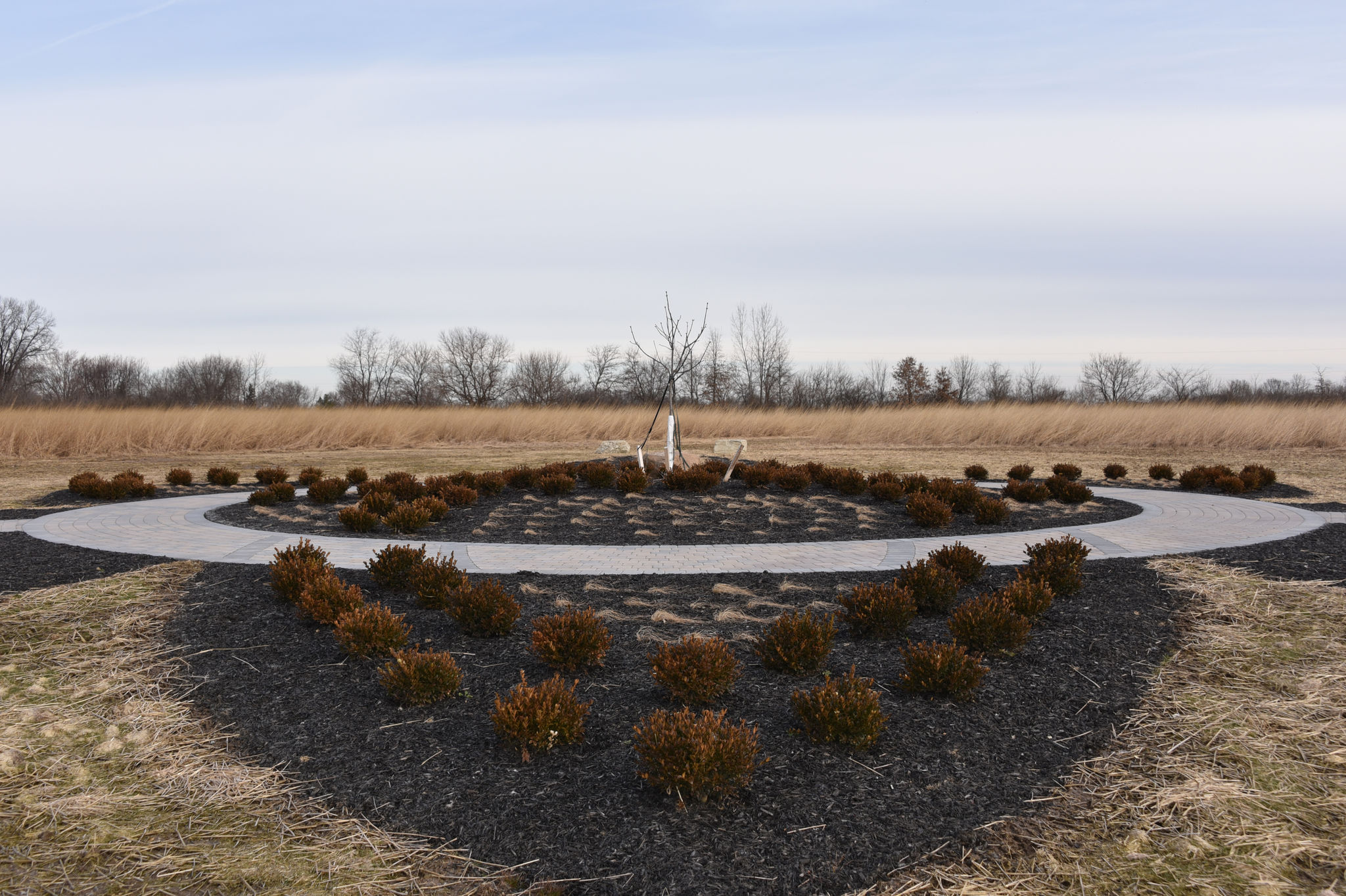 View of the Reagan Tokes memorial at Scioto Grove Metro Park. February 26, 2019.
