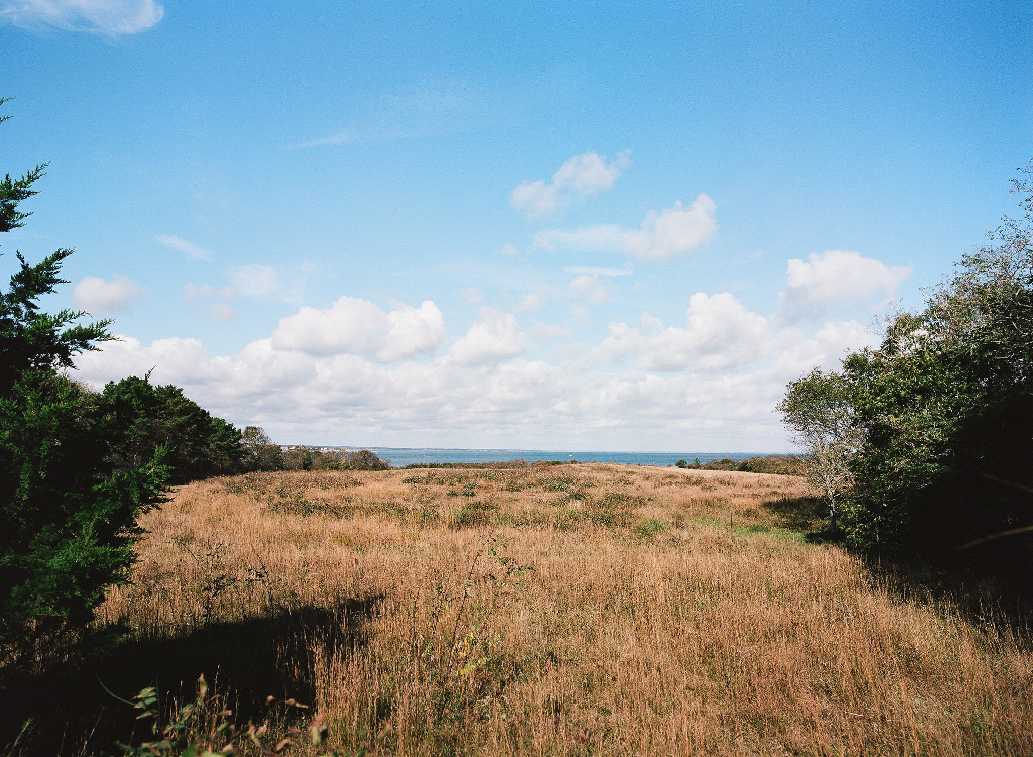 field view