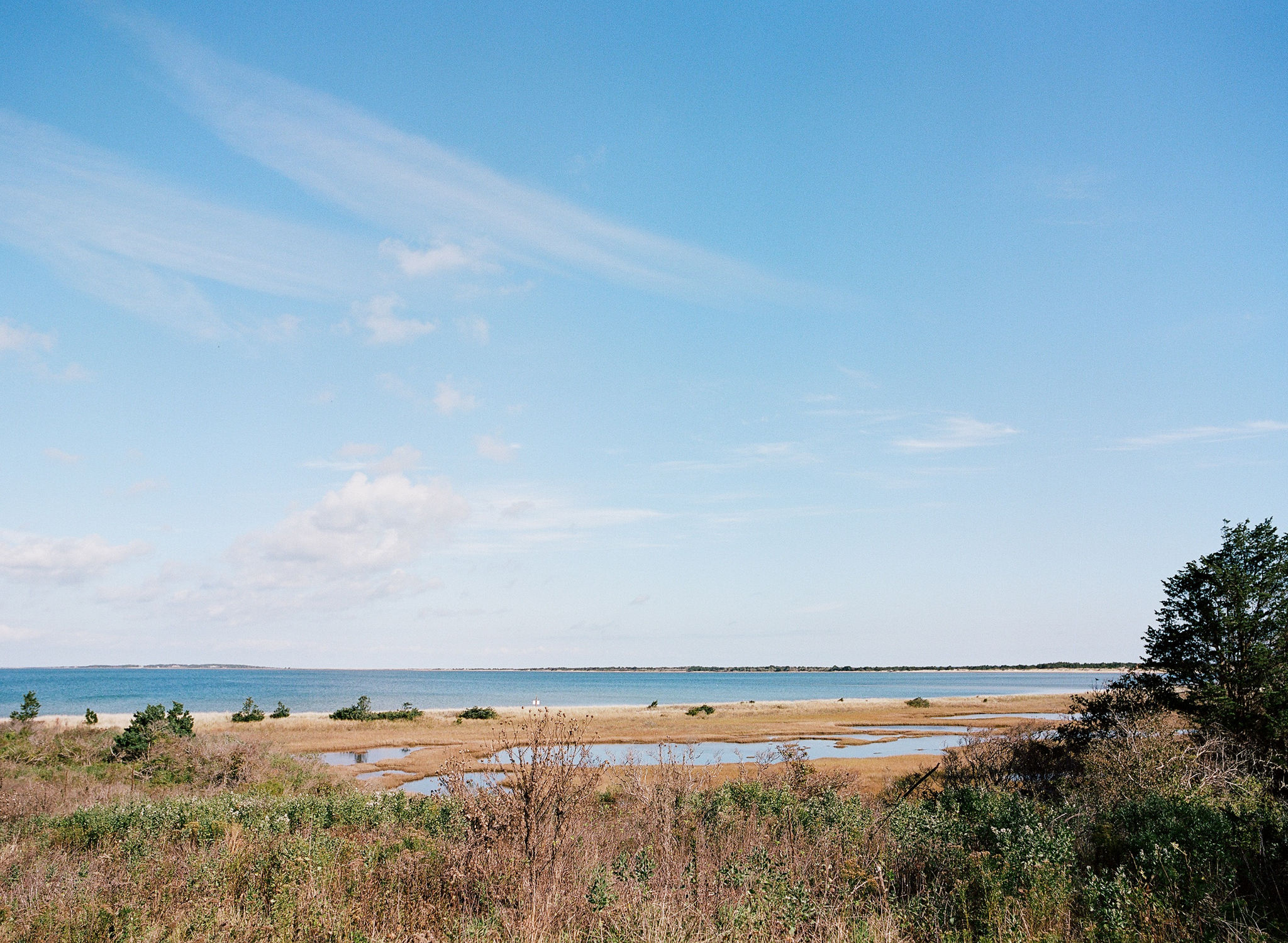 view of pond and Cape Poge Bay beyond