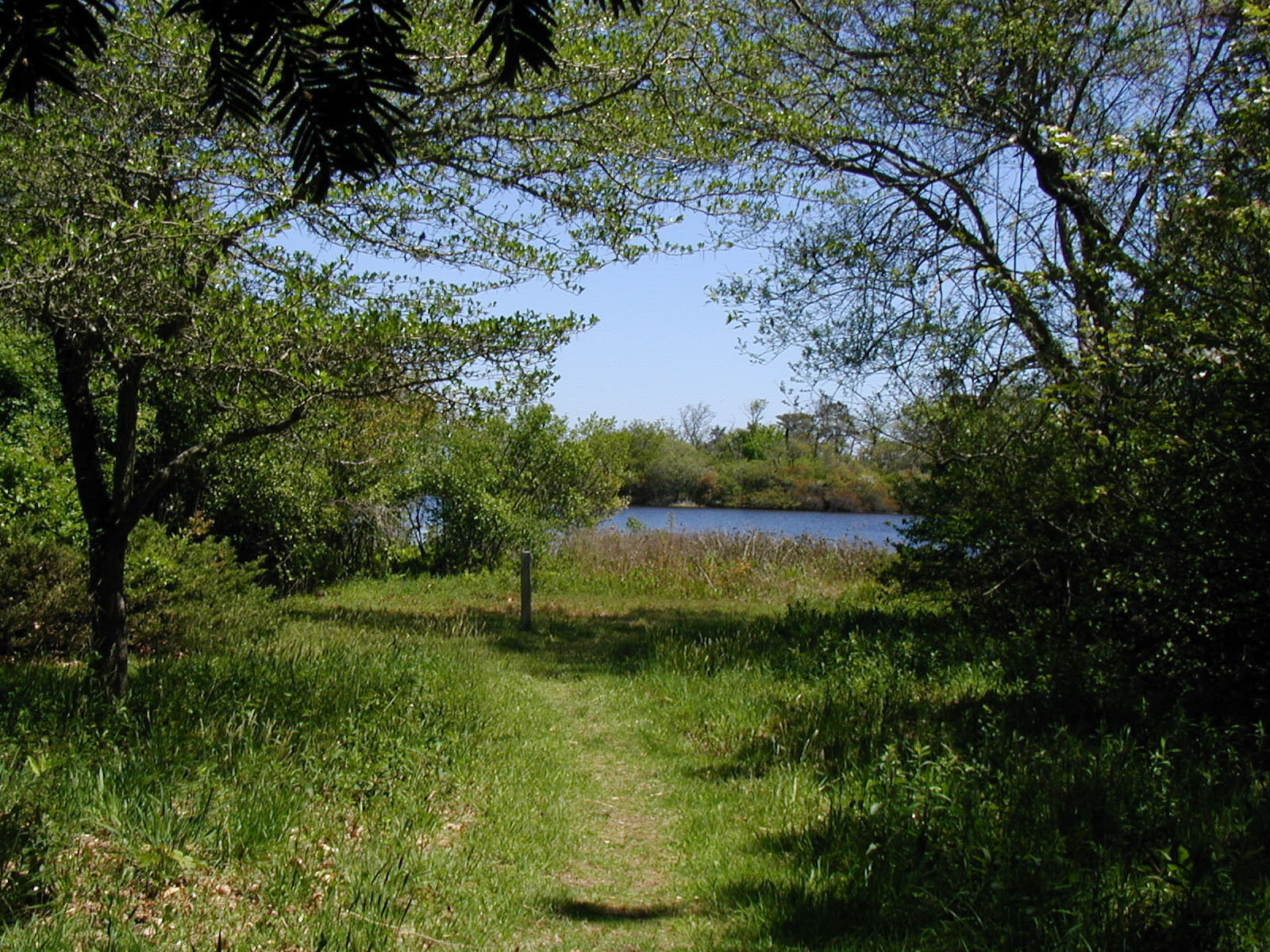 path to pond