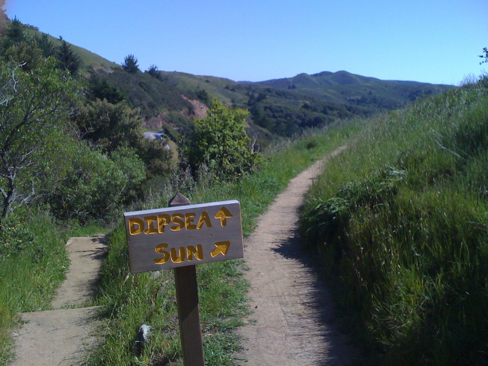 Dipsea and Sun trail intersection