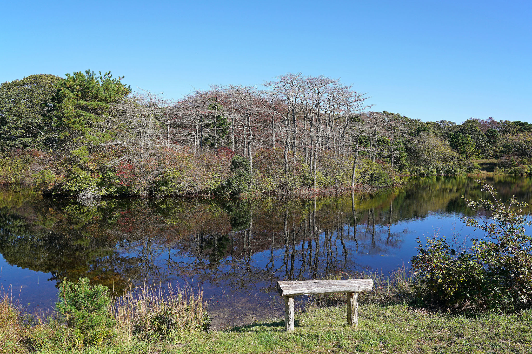 Brine's Pond