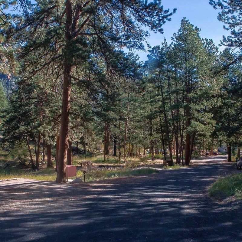 A photo of a loop with campsites in Aspen Glen Campground.