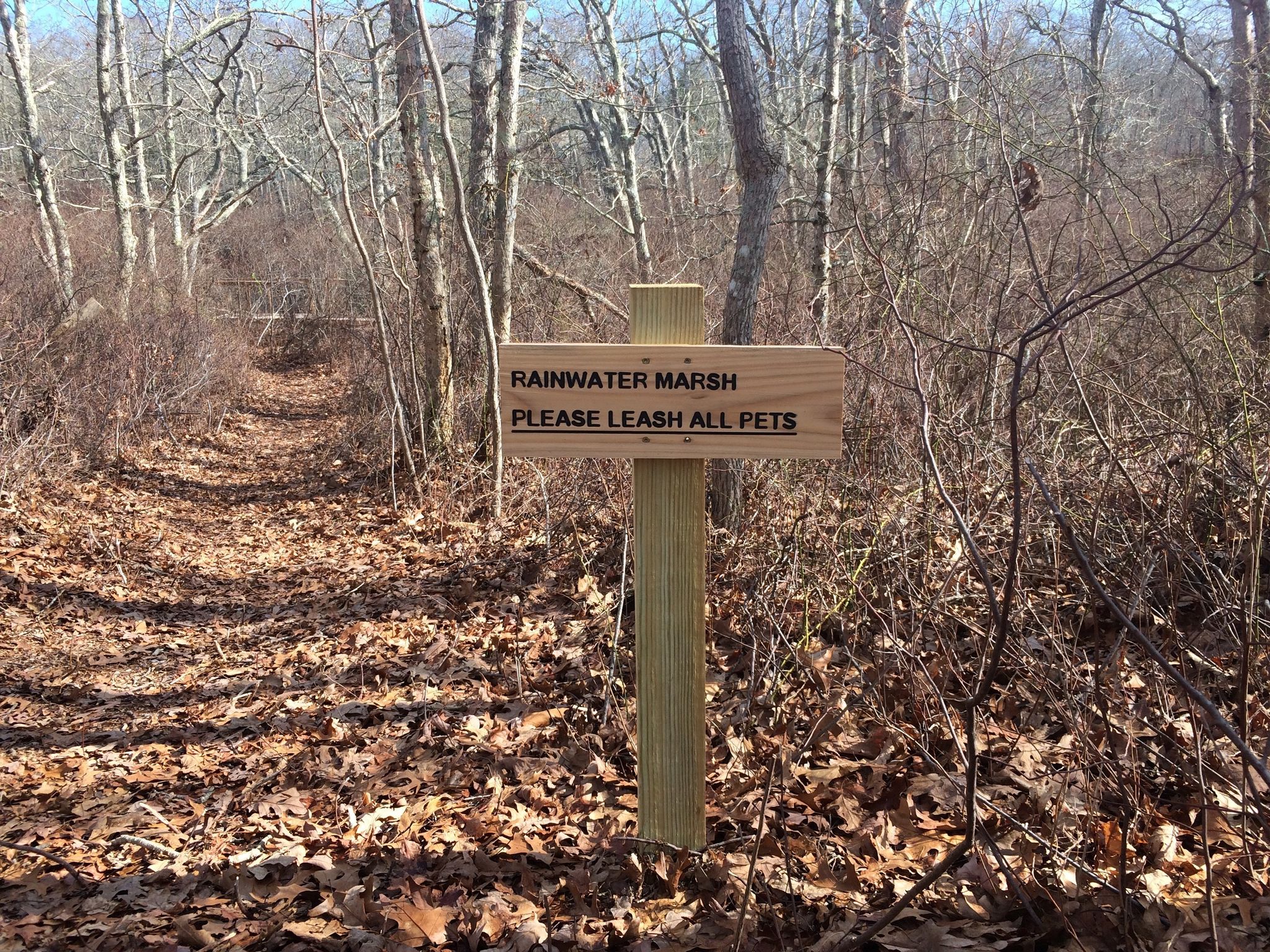 path to Rainwater Pond