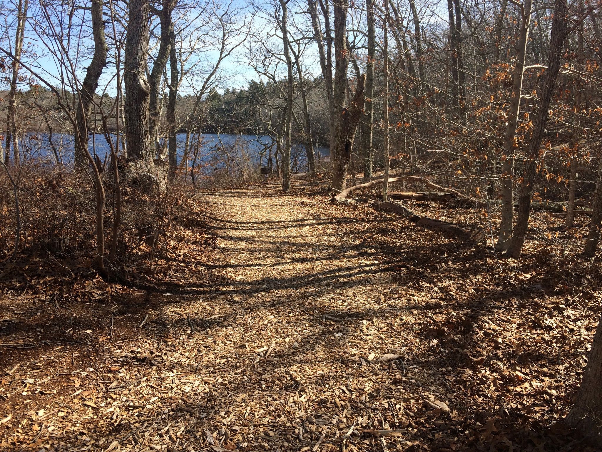 trail leading to Ice House Pond