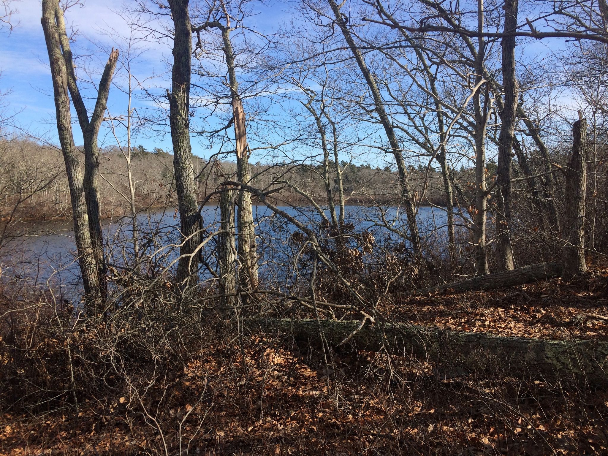 Winter view of Ice House Pond 