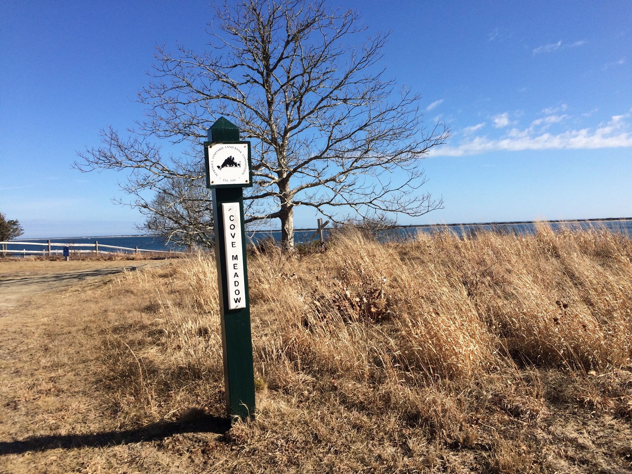 trailhead by parking area