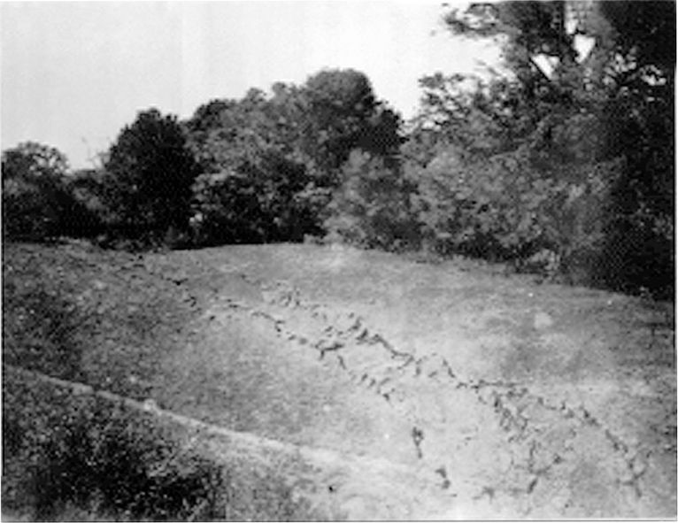 1906 fault slip at Los Trancos