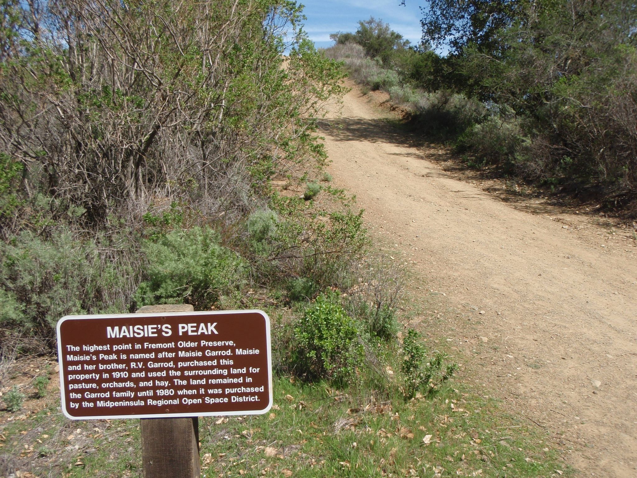 Trail leading to Maisie's Peak, Fremont Older Preserve 