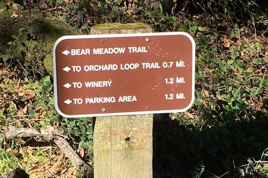 Bear Meadow Trailhead Sign