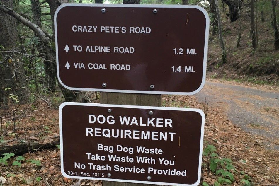 Crazy Pete's Road Trailhead