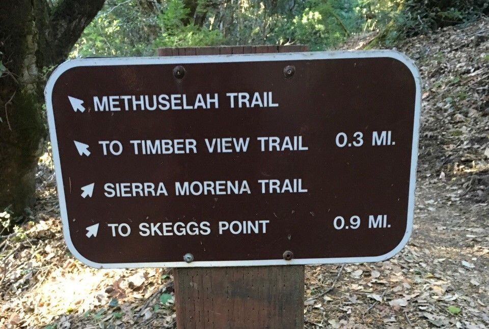 Methuselah / Sierra Morena Trailhead Sign