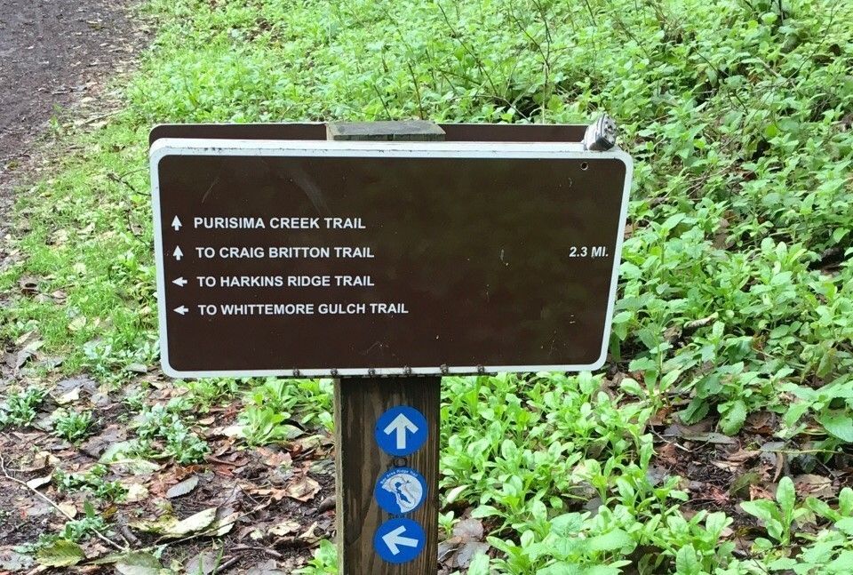 Purisima Creek (Lower) Trailhead