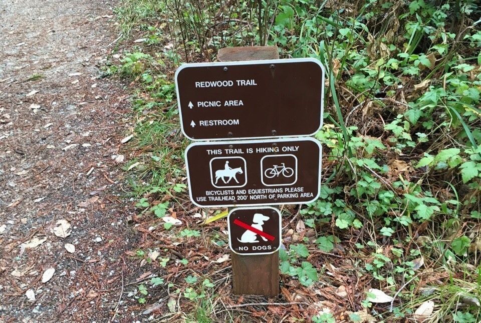 Redwood Trailhead Sign