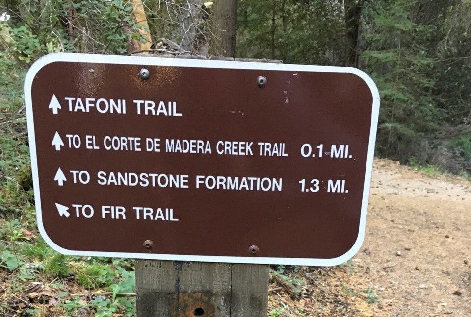 Tafoni / Fir / El Corte de Madera Creek Trailhead Sign