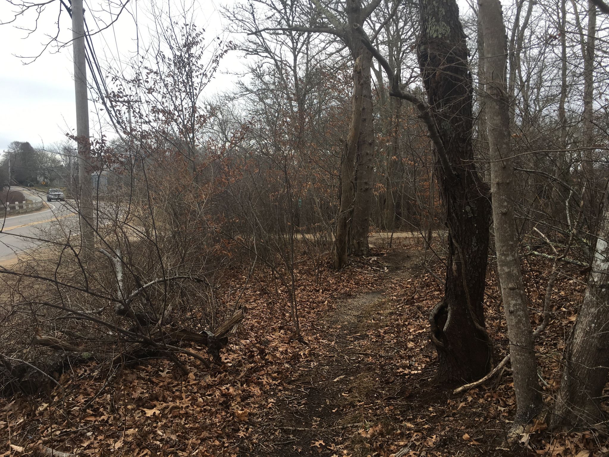 end of trail at WT-Edgartown Road