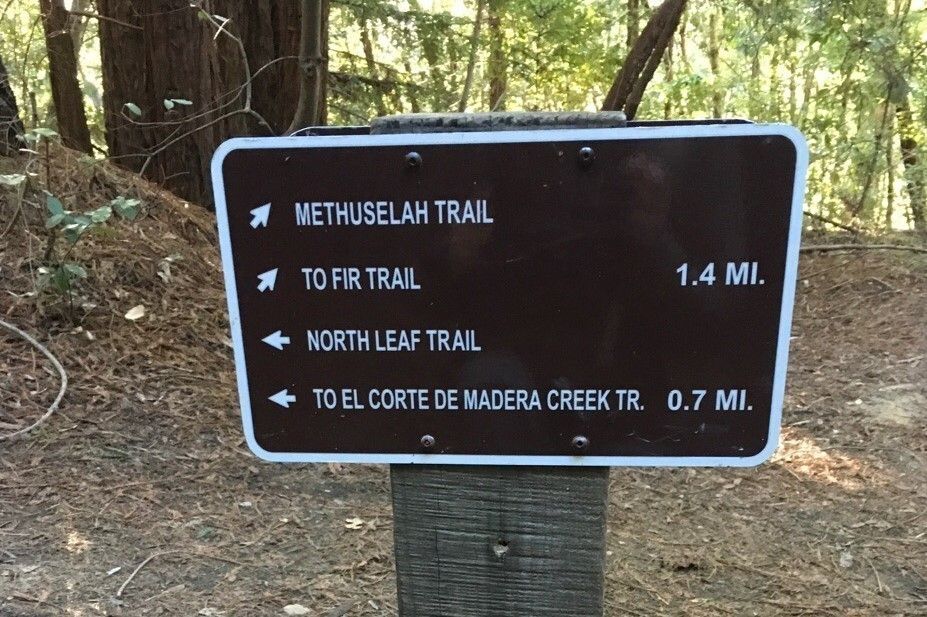 Methuselah Trailhead (CM08) Sign