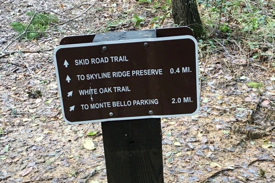 Skid Road Trailhead Sign