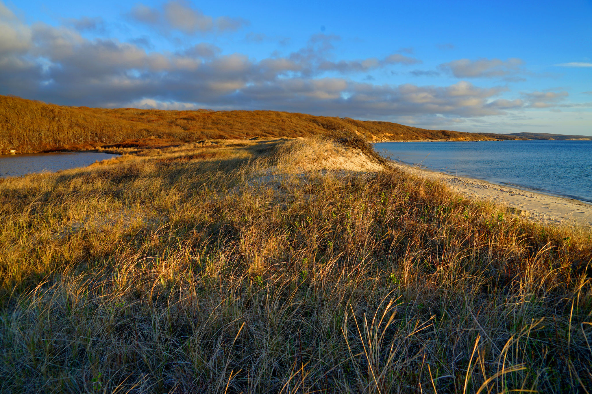 dunes