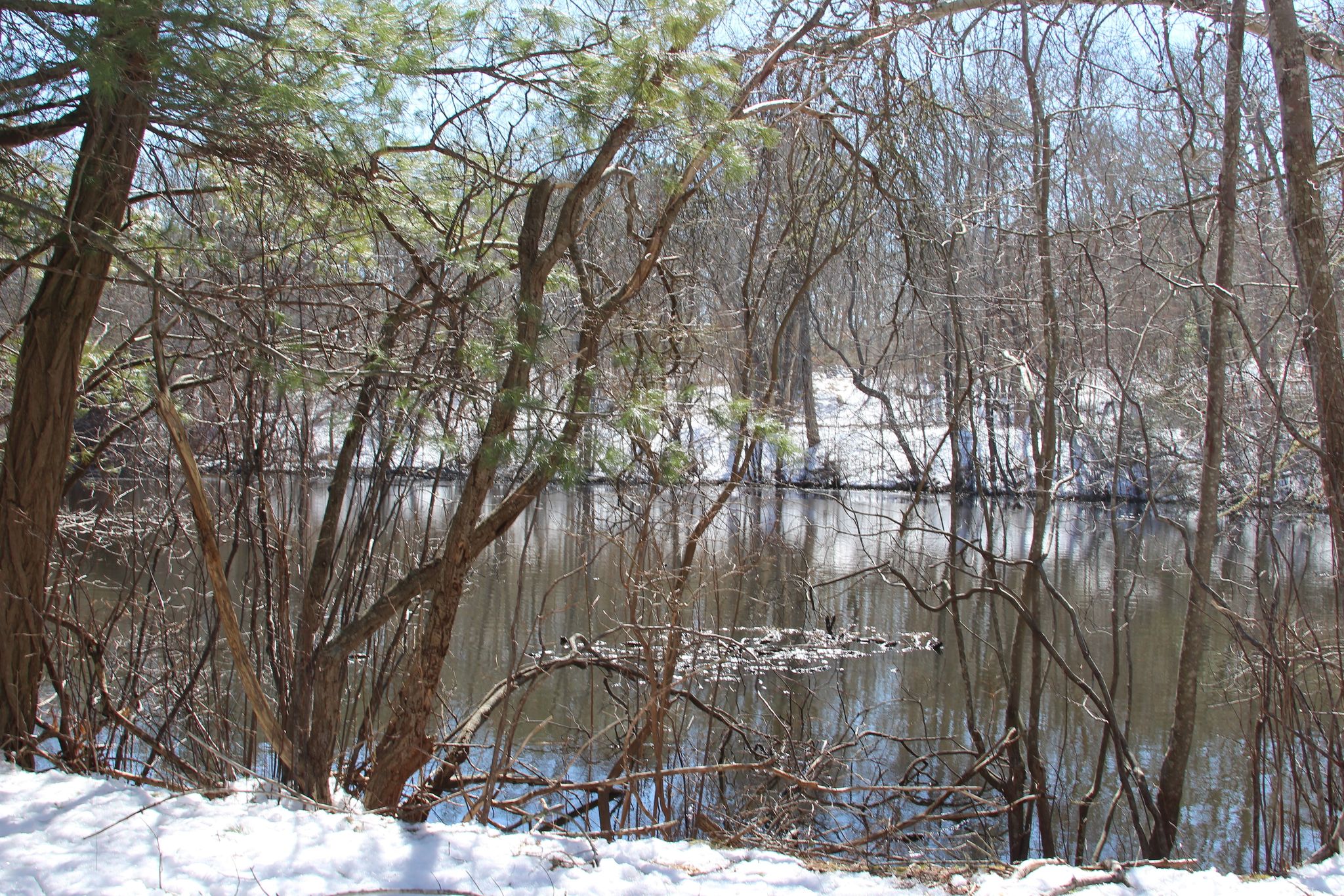 winter view of Middle Pond