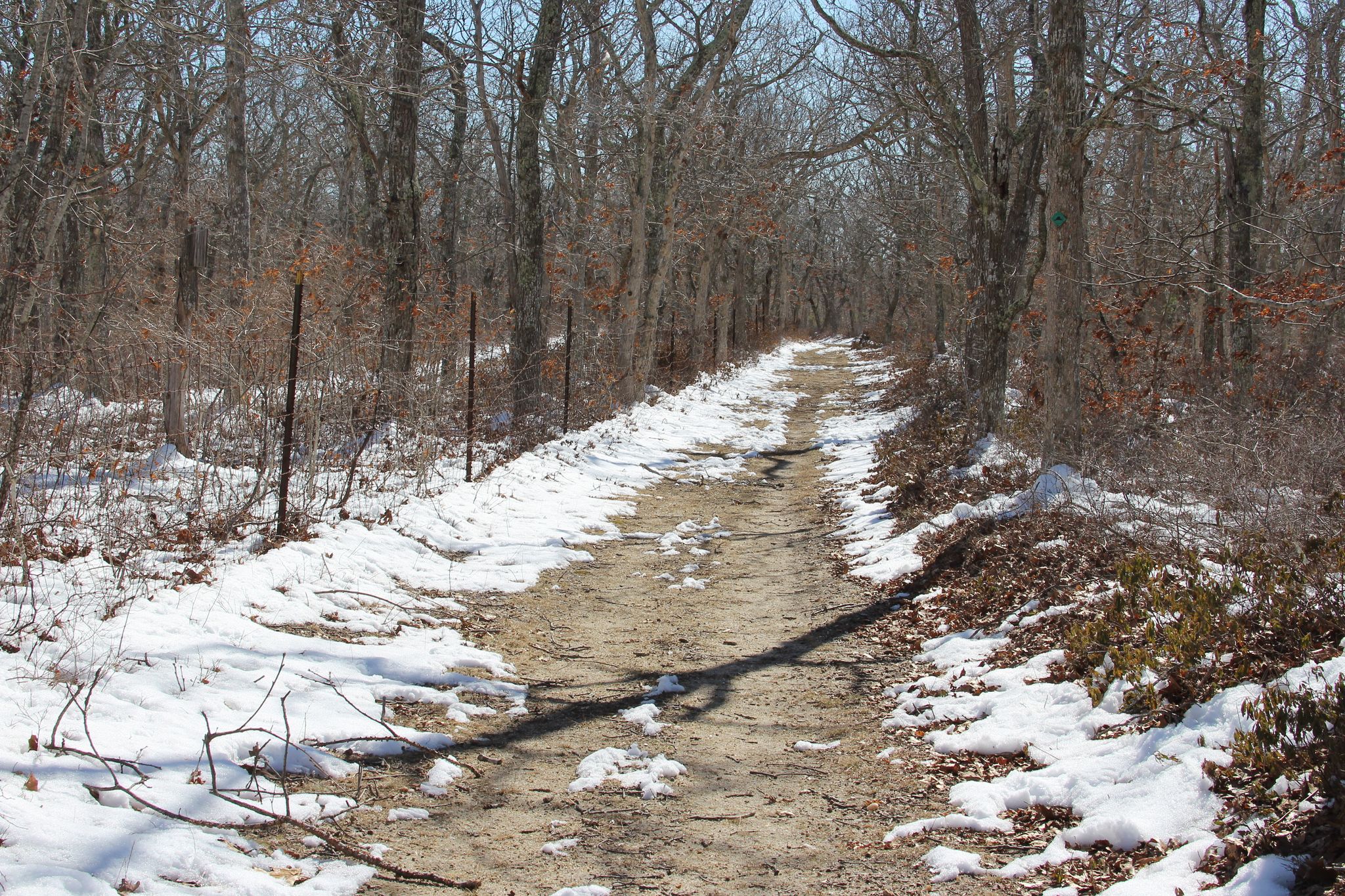 sandy trail along fenceline