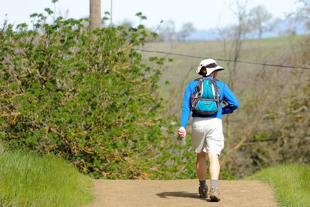 Hiker in Calero County Park