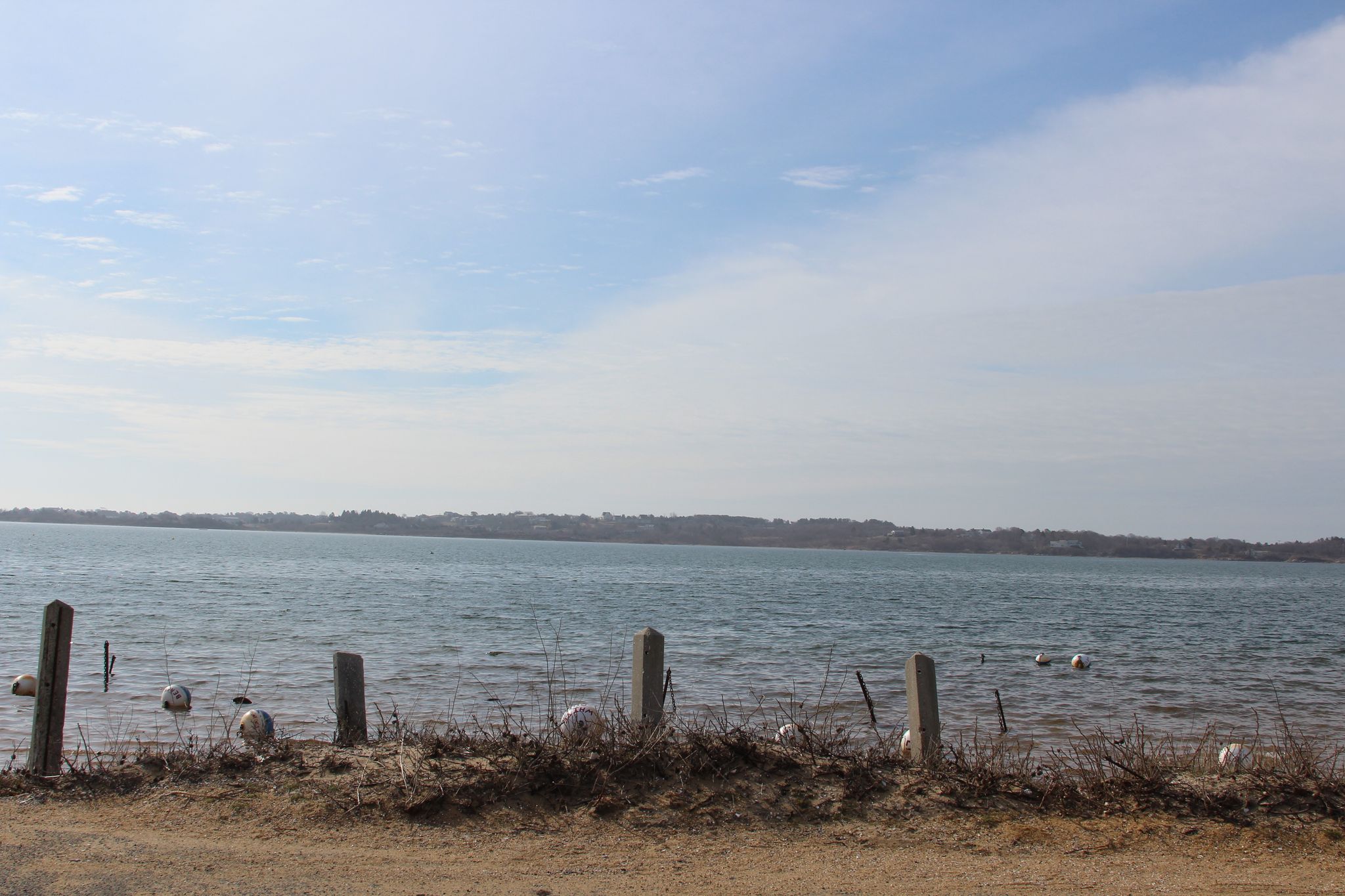 view from end of Lobsterville Road