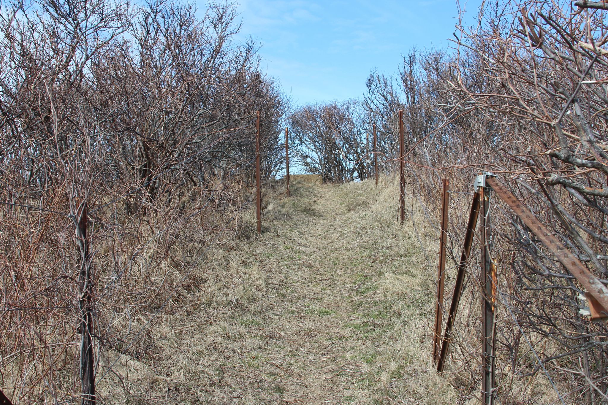 path up to viewpoint