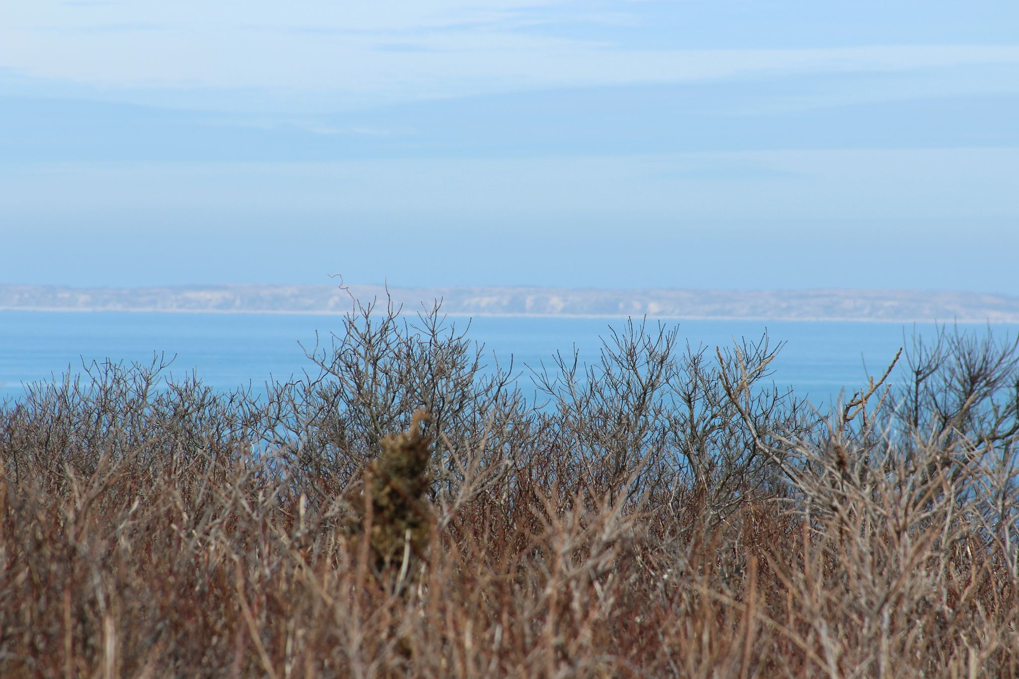 view out to Vineyard Sound