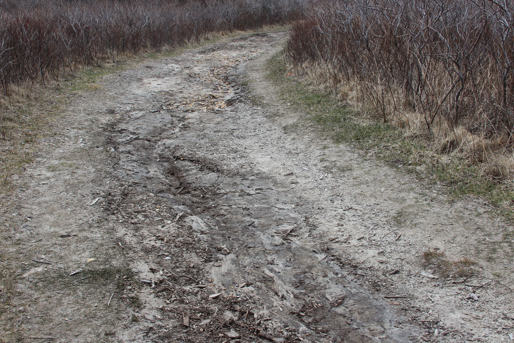 trail washed out in places