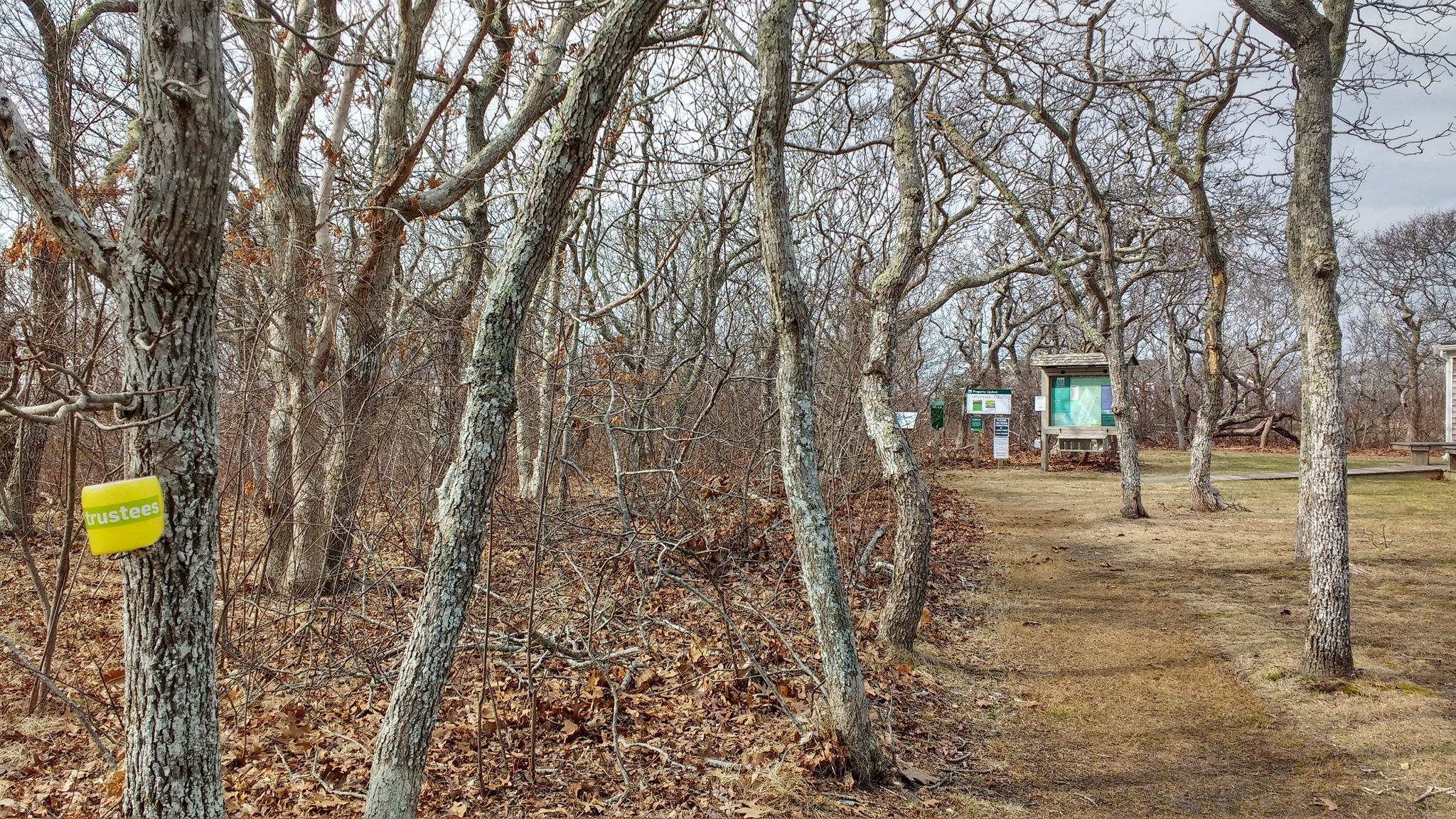 Winter trailhead