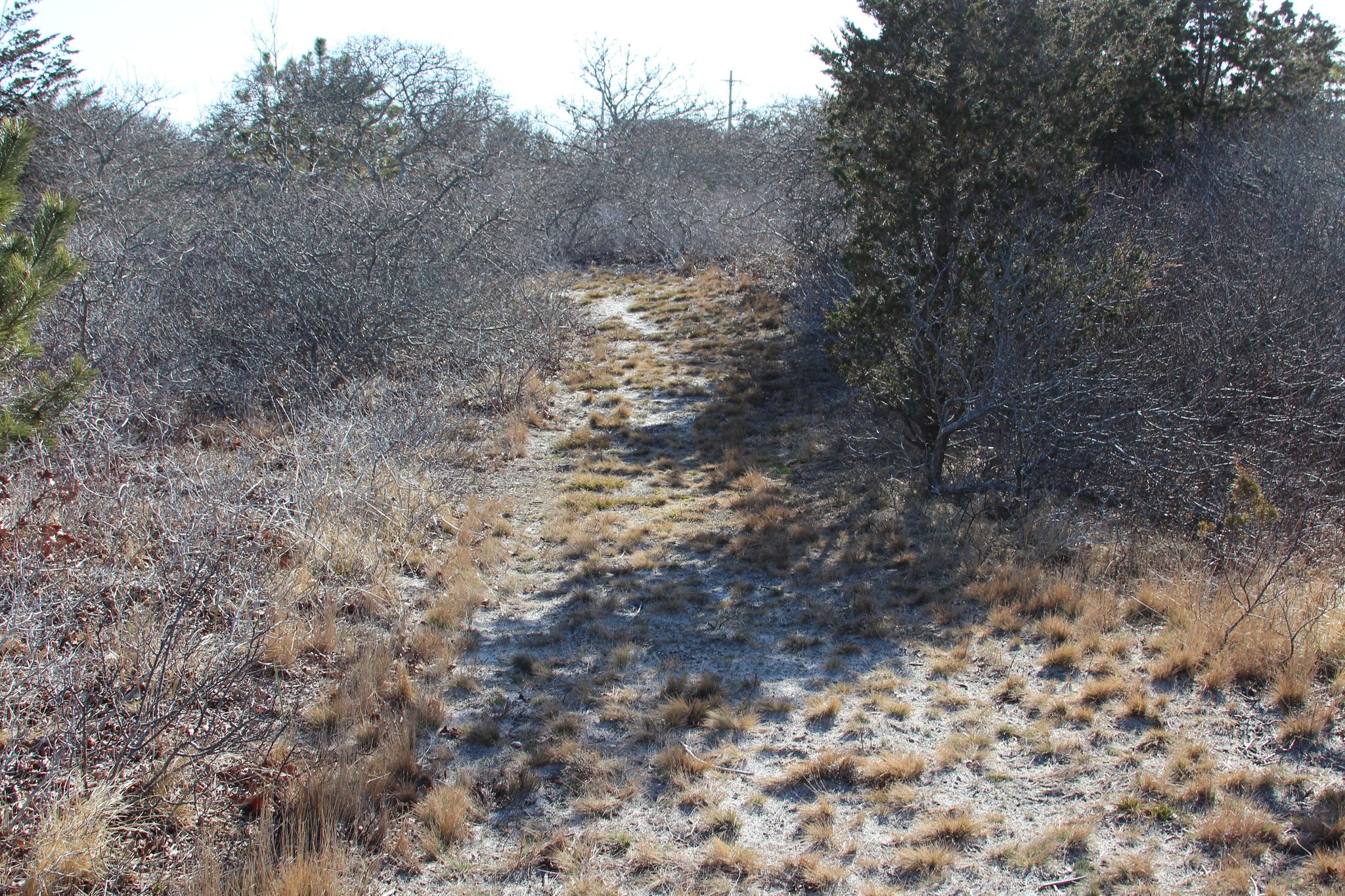 sandy trail