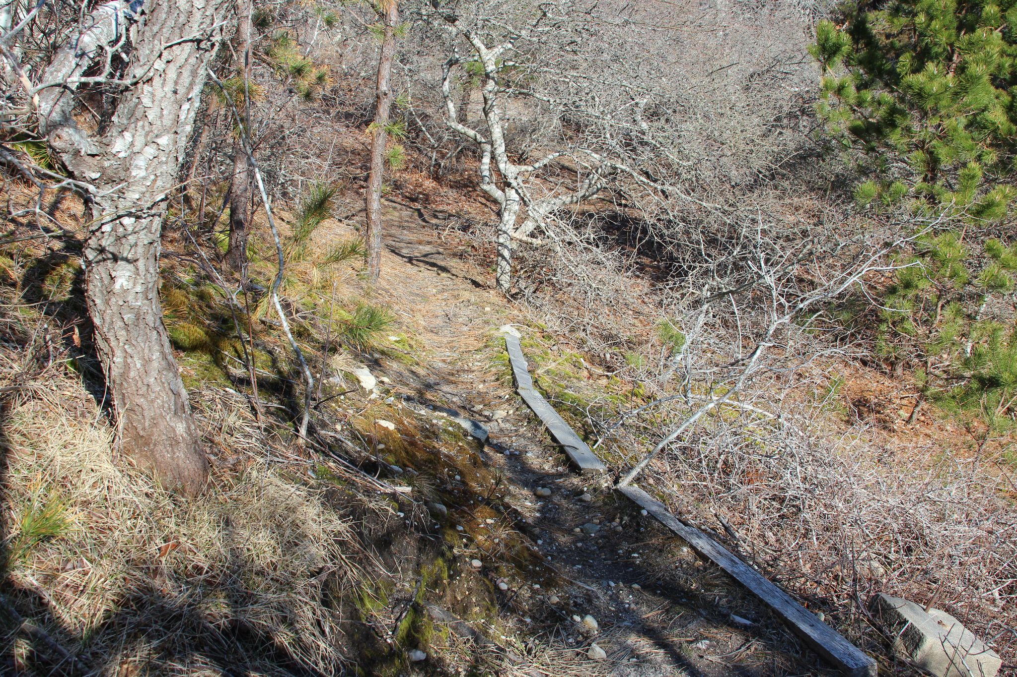 trail goes up and down hill