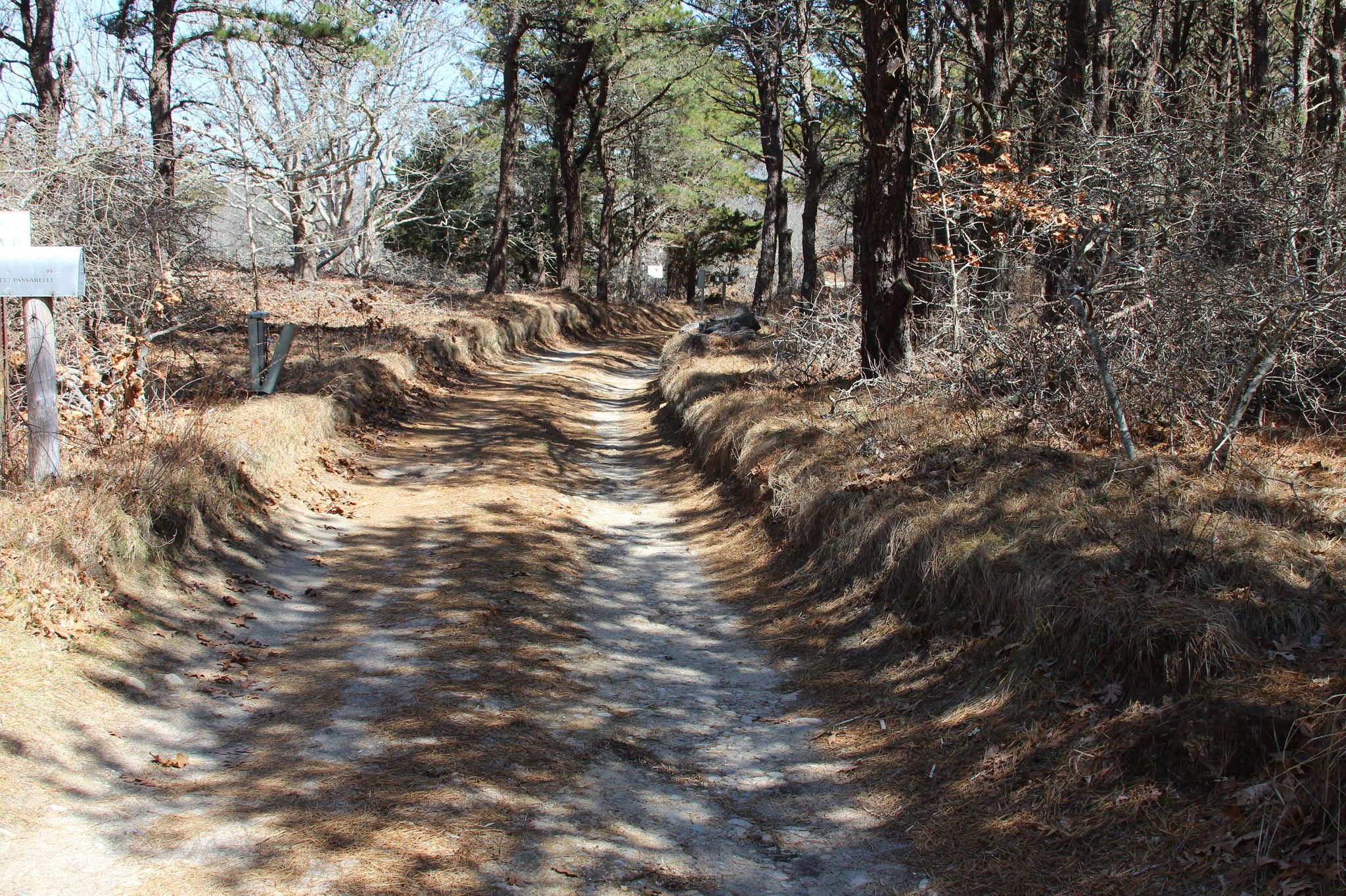 road to west part of trail