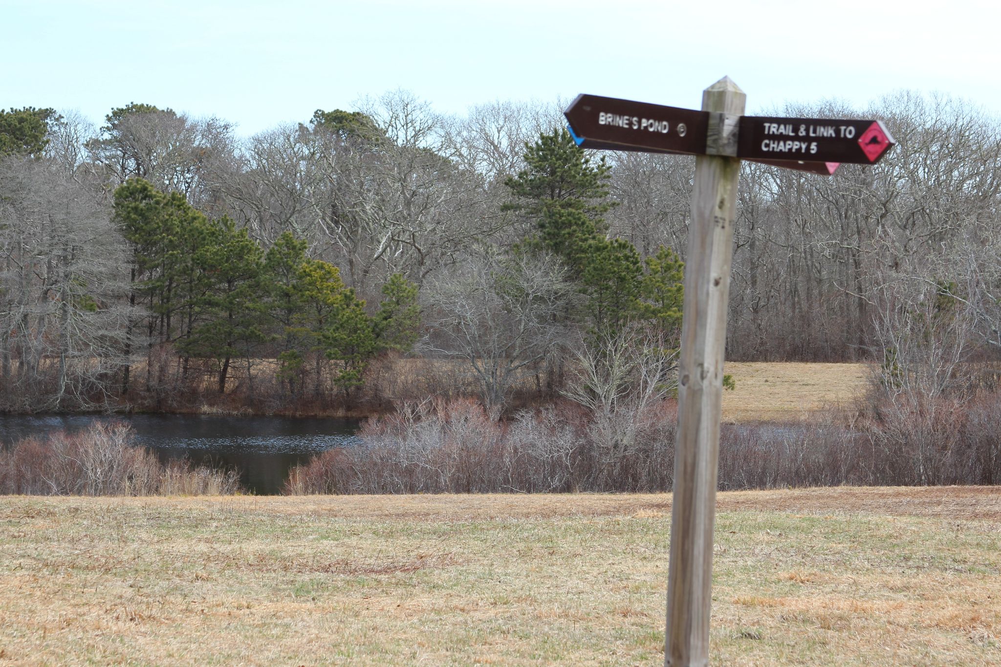 trail intersection near Brine's Pond