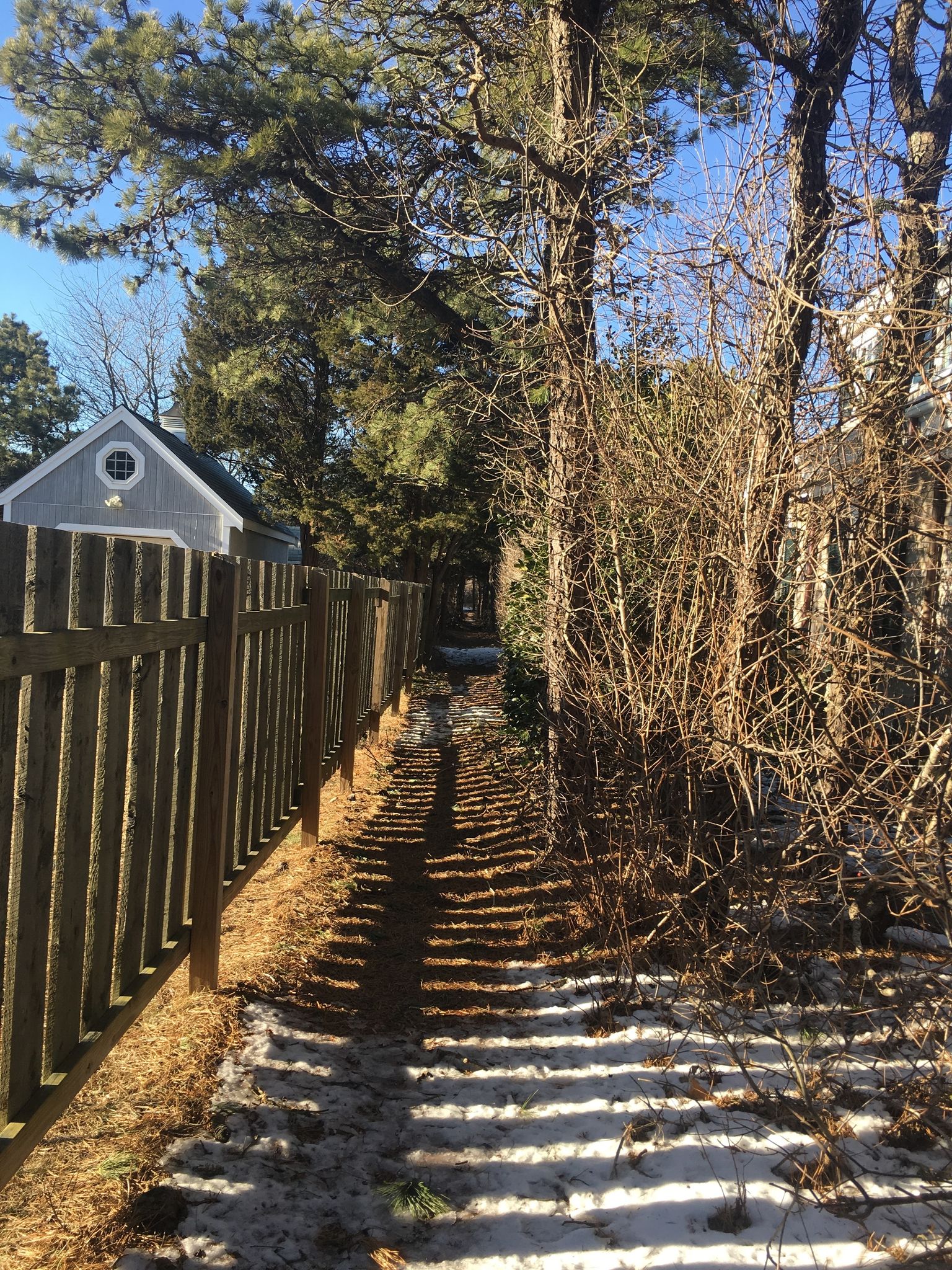 narrow path along fence