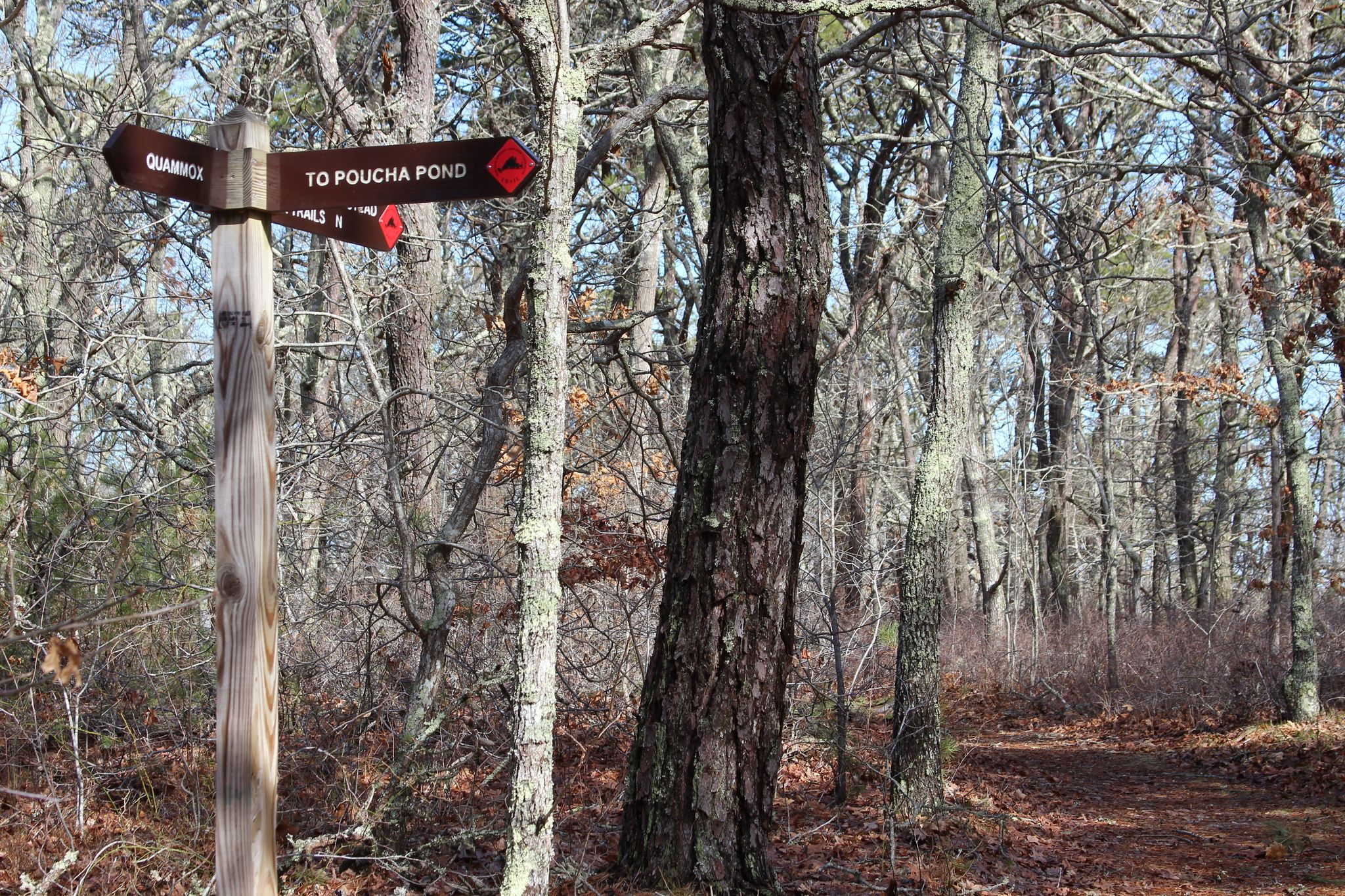 intersection of Cross-Chappy with south entry trailhead