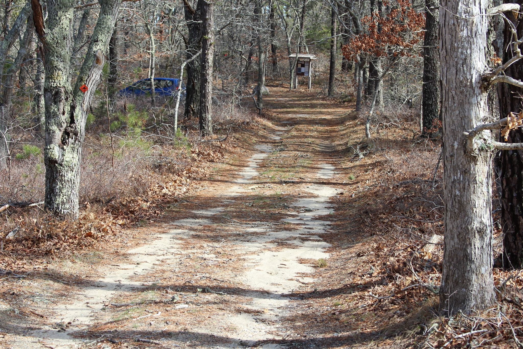 road in to parking