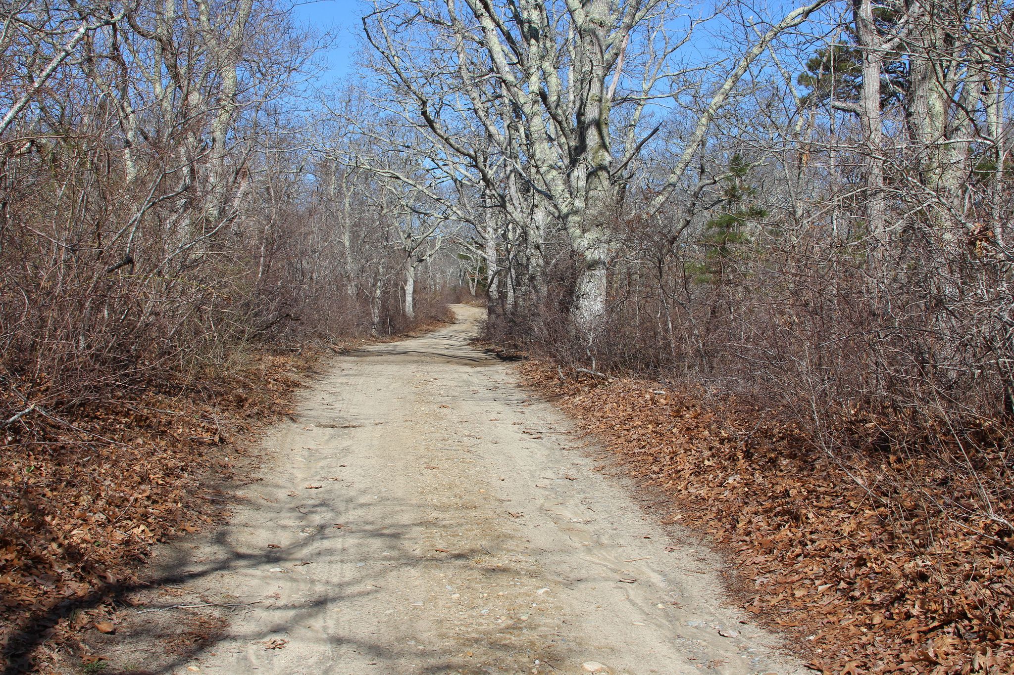 dirt road