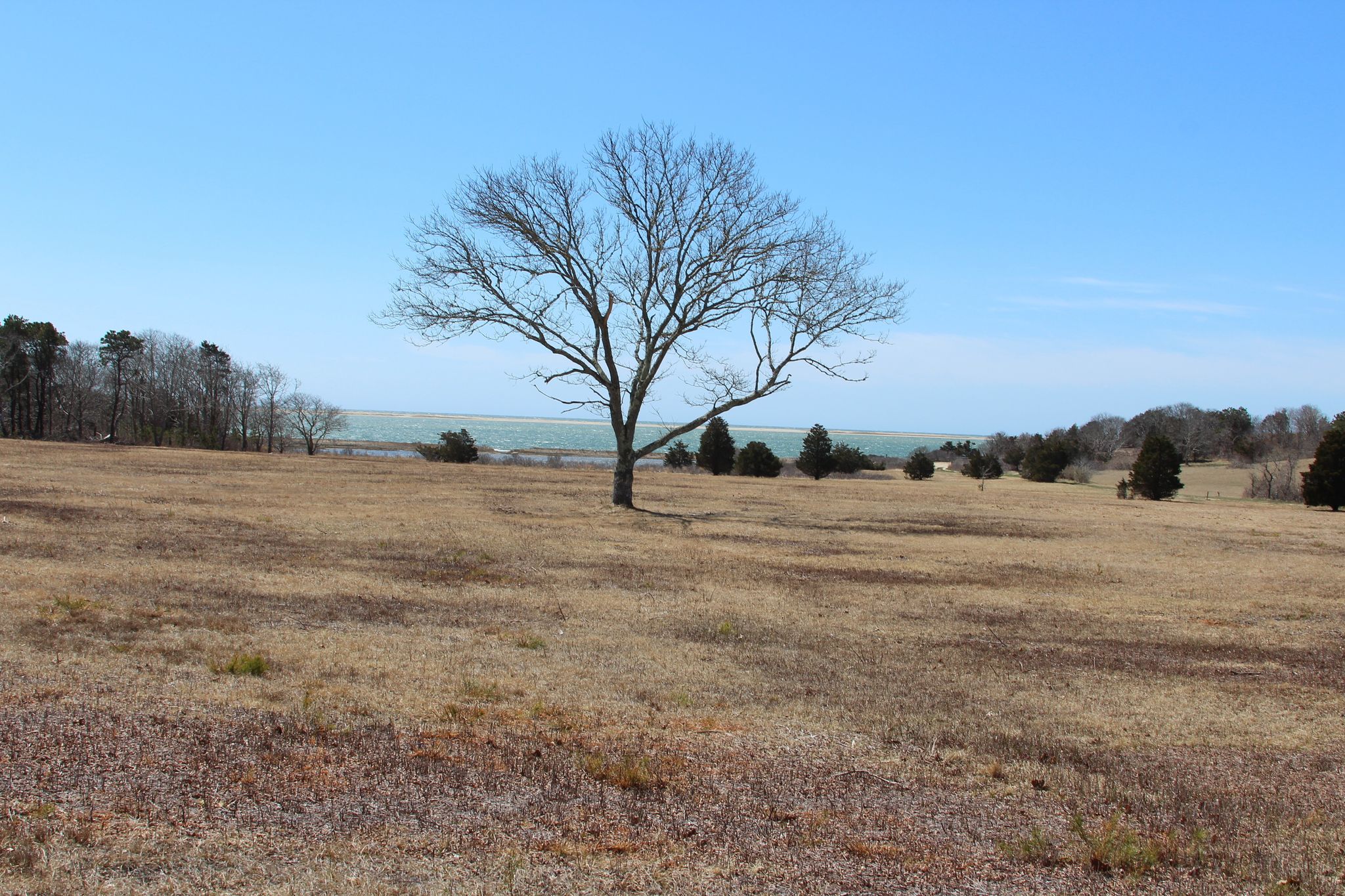 view towards water