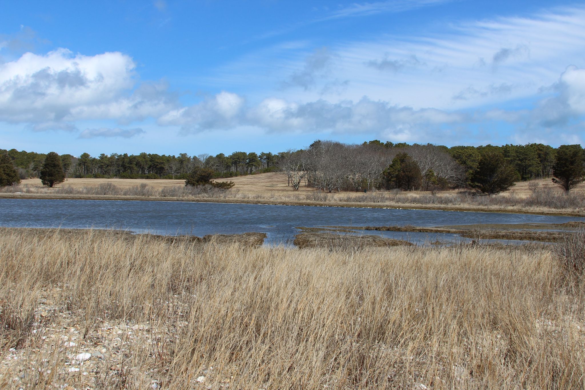 salt pond